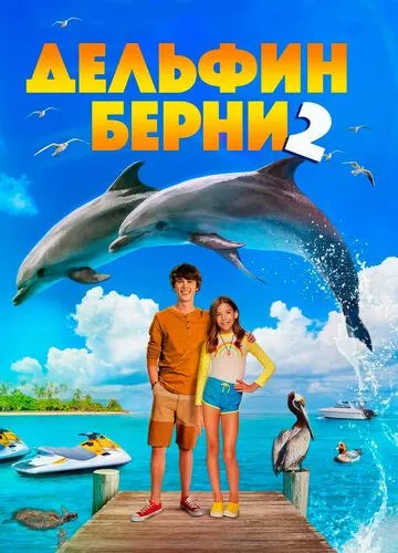 Дельфін Берні 2 (2019)