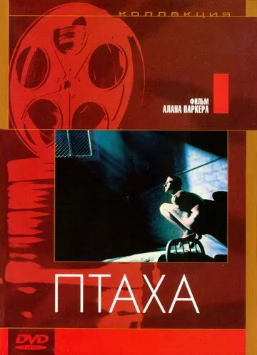 Птаха / Пташка (1984)