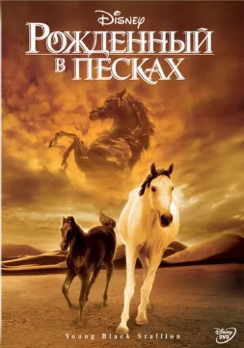 Народжений у пісках (2003)